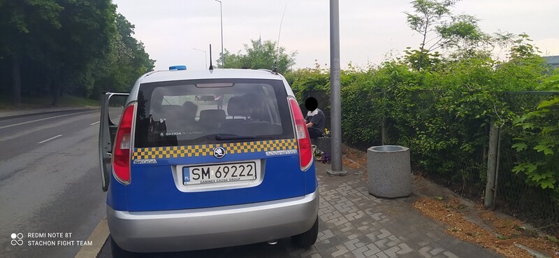 Kradzież kwiatów z miejskich klombów