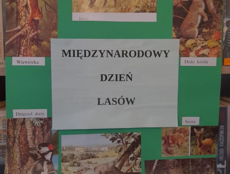 Międzynarodowy Dzień Lasów: Ekologiczne wydarzenie dla dzieci w Mysłowicach